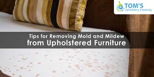 Upholstery Cleaning Tips For Removing
