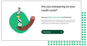 Discover a variety of information about debt settlement companies Multiple Credit Card Payoff Calculator Organize And Eliminate Your Debt