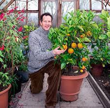 Monty Don On How To Save Your Citrus In