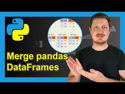 merge two pandas dataframes in python