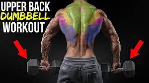 beast upper back dumbbell workout for