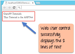 asp net web forms tutorial user