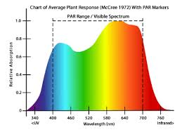 Extraordinary Marijuana Light Spectrum Chart Plants Growth