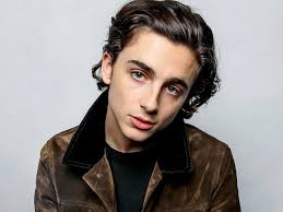 Timothée chalamet's brand new 2020 oscars hair deserves an awards category all to itself. How To Get Timothee Chalamet S Epically Good Hair Gq
