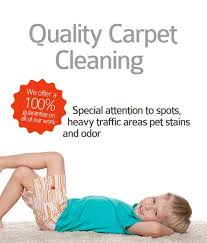 carpet cleaning services in washington
