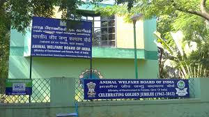 Department of animal husbandry and dairying ministry of fisheries, animal husbandry and dairying, government of india. Animal Welfare Board Of India Headquarter