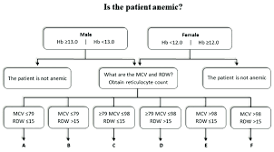 Flowchart As A First Approach To Diagnose Anemia In Anemic