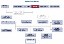 Eeoc Performance And Accountability Report Fy 2008