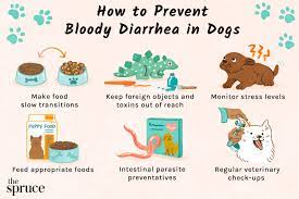 diarrhea in dogs