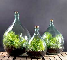 glass terrarium in a bottle starter kit