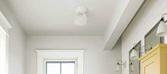 best paint for steamy ceilings da