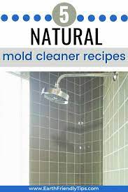 the best natural mold cleaner recipe