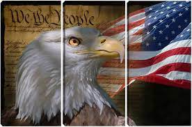 Eavuty Rustic Eagle American Flag