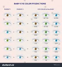 Baby Eye Color Prediction Chart Icons Stock Vector Royalty