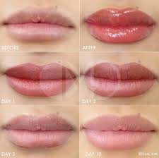 lip blush aftercare instructions lisa om