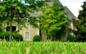 Want A Great Looking Lawn Here Are The Best Lawn Mowing