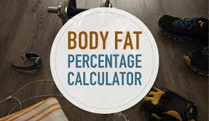body fat percene calculator