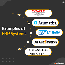 Examples Of Erp