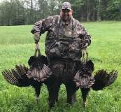 can-turkeys-see-ground-blinds