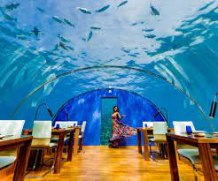 Aquarium restaurant münchen
