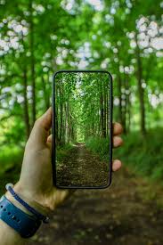 full screen smartphone with green trees