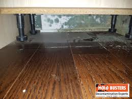 mold in closet how to prevent and get