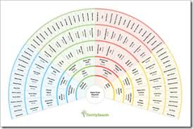 Familysearch Org Printable Fan Chart Genealogy Genealogy