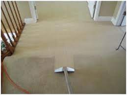 carpet cleaning services arlington