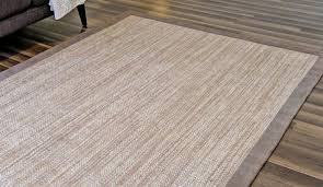 sisal rug cleaning in the greater