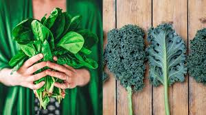 Spinach Vs Kale Is One Healthier
