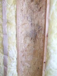 mold growth under fiberglass insulation
