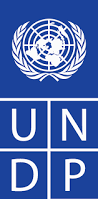Procurement Analyst at United Nations Development Programme (UNDP) Nigeria