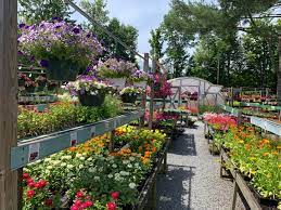 this picturesque nursery in jewett is
