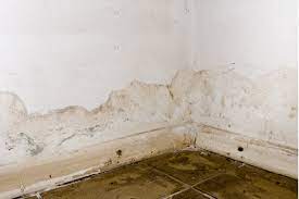 commercial mold removal and remediation