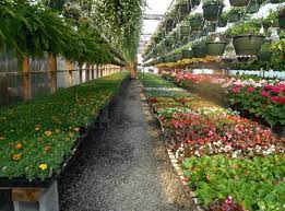 the 40 top plant nurseries in the us