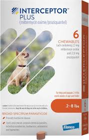 the best heartworm prevention and