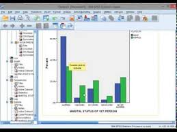 Spss Clustered Bar Chart