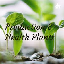Production & Health Plants