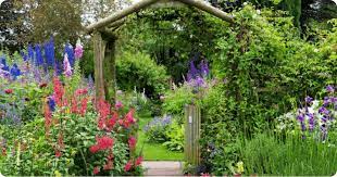 10 Tips For A More Colourful Garden