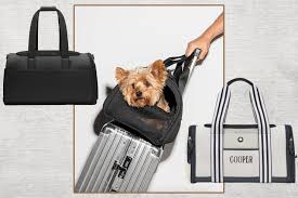 12 best pet carriers 2023 for traveling