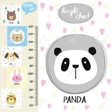 Kids Height Chart Cute Panda And Funny Animals Vector Illustration