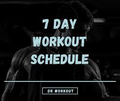 7 day workout plan with pdf dr workout