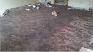carpet restoration fresno ca