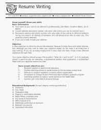 Resume Examples For College Students With Little Experience Sample