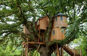 Tree House Cabins By Bower House