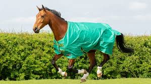 best rain sheets for horses to protect