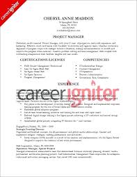 Technology Lead Resume Technical Project Manager Printable Resumes