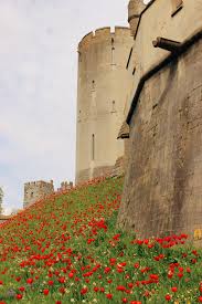 enchanting arundel castle tulip festival