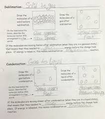 50 Dna Mutation Practice Worksheet Answers Chessmuseum