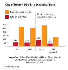 Pit Bull Attacks Statistics Goldenacresdogs Com